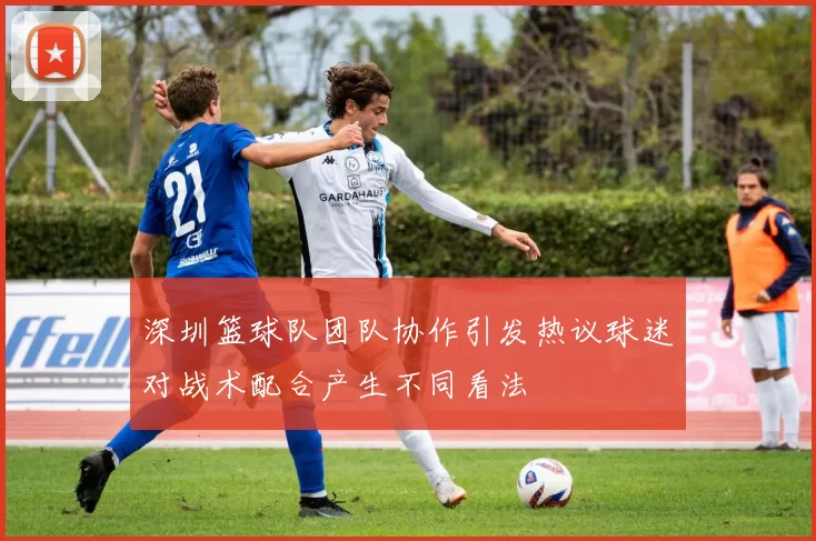 深圳篮球队团队协作引发热议球迷对战术配合产生不同看法