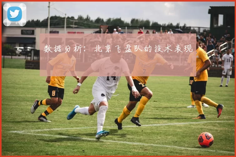 数据分析：北京飞盘队的技术表现