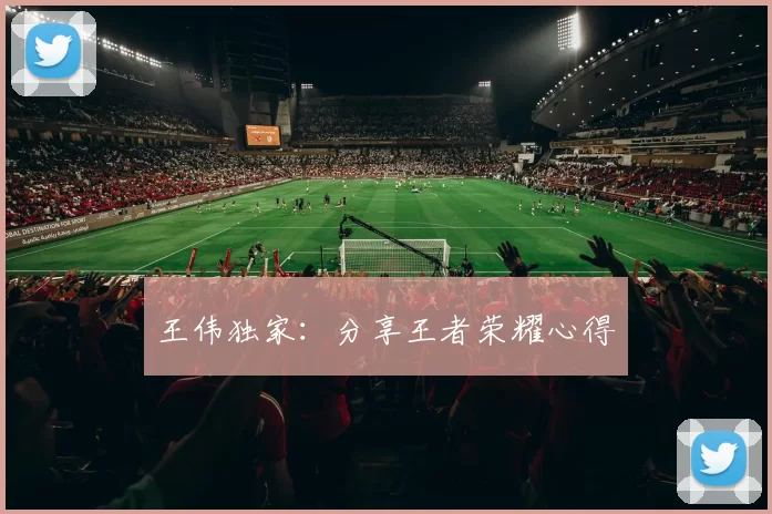 王伟独家：分享王者荣耀心得