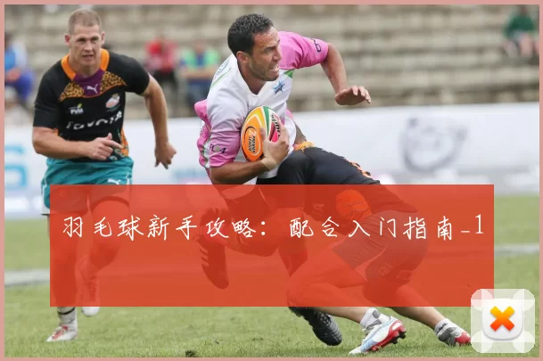 羽毛球新手攻略：配合入门指南_1