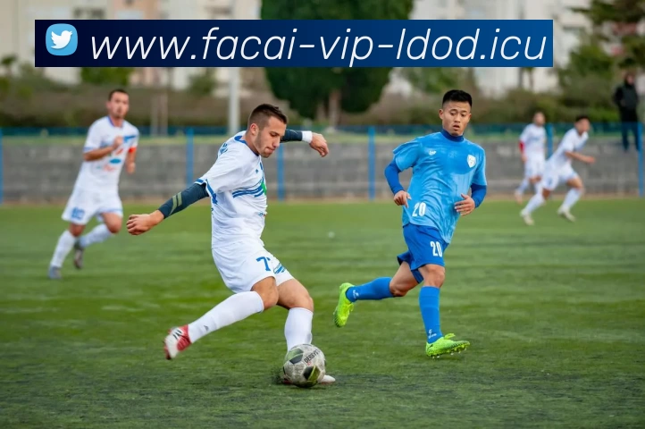 九游体育发展历程